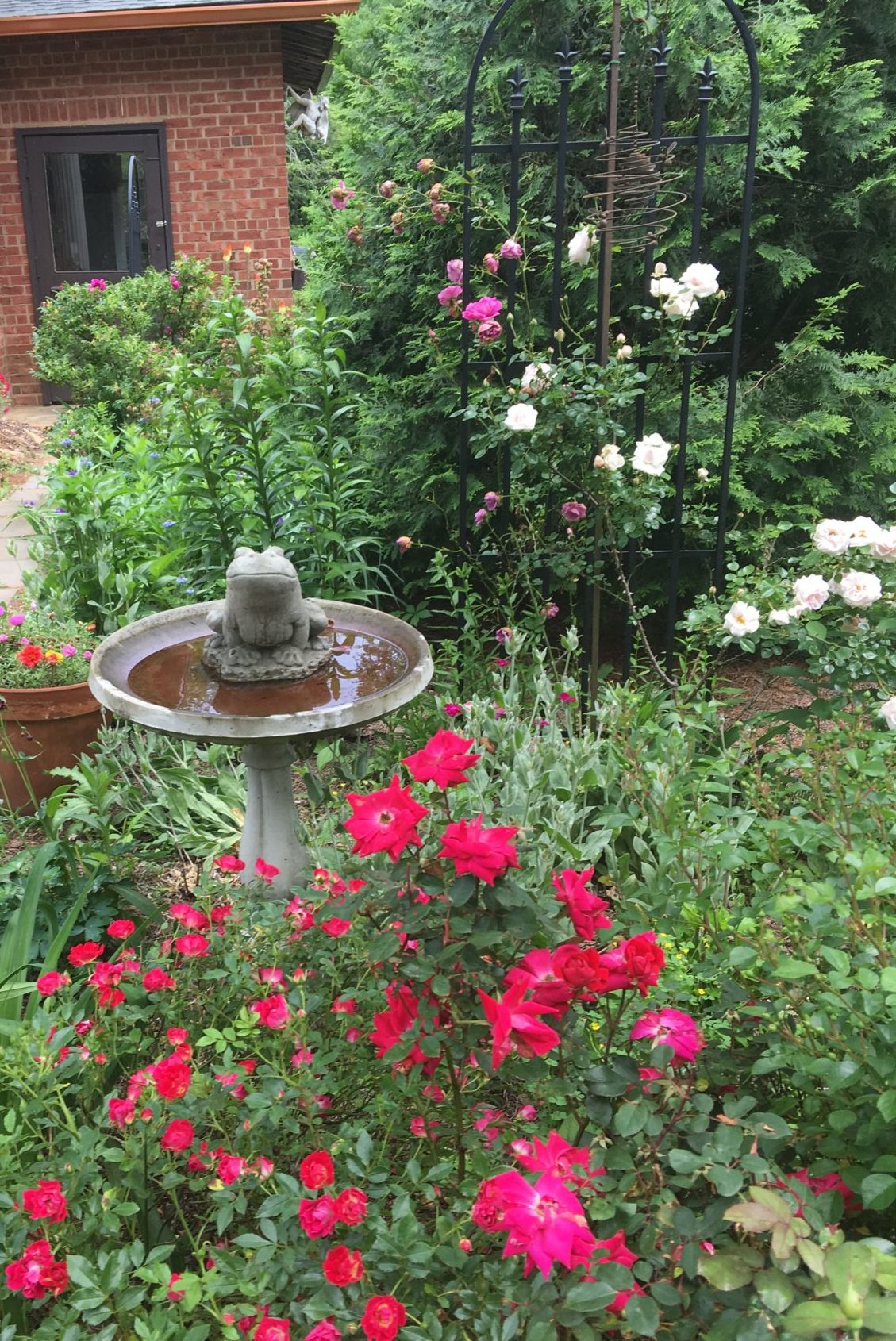 Flowers in the Garden at Reynolds Mansion