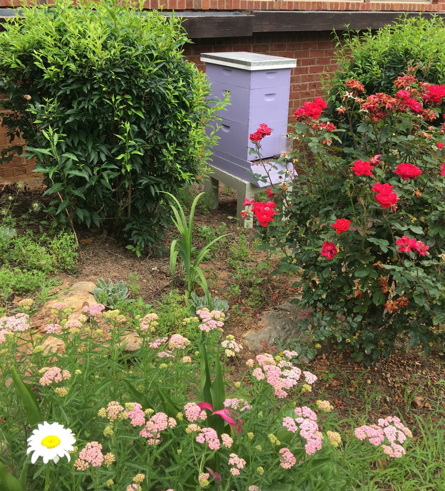 Reynolds Mansion Bee Hive