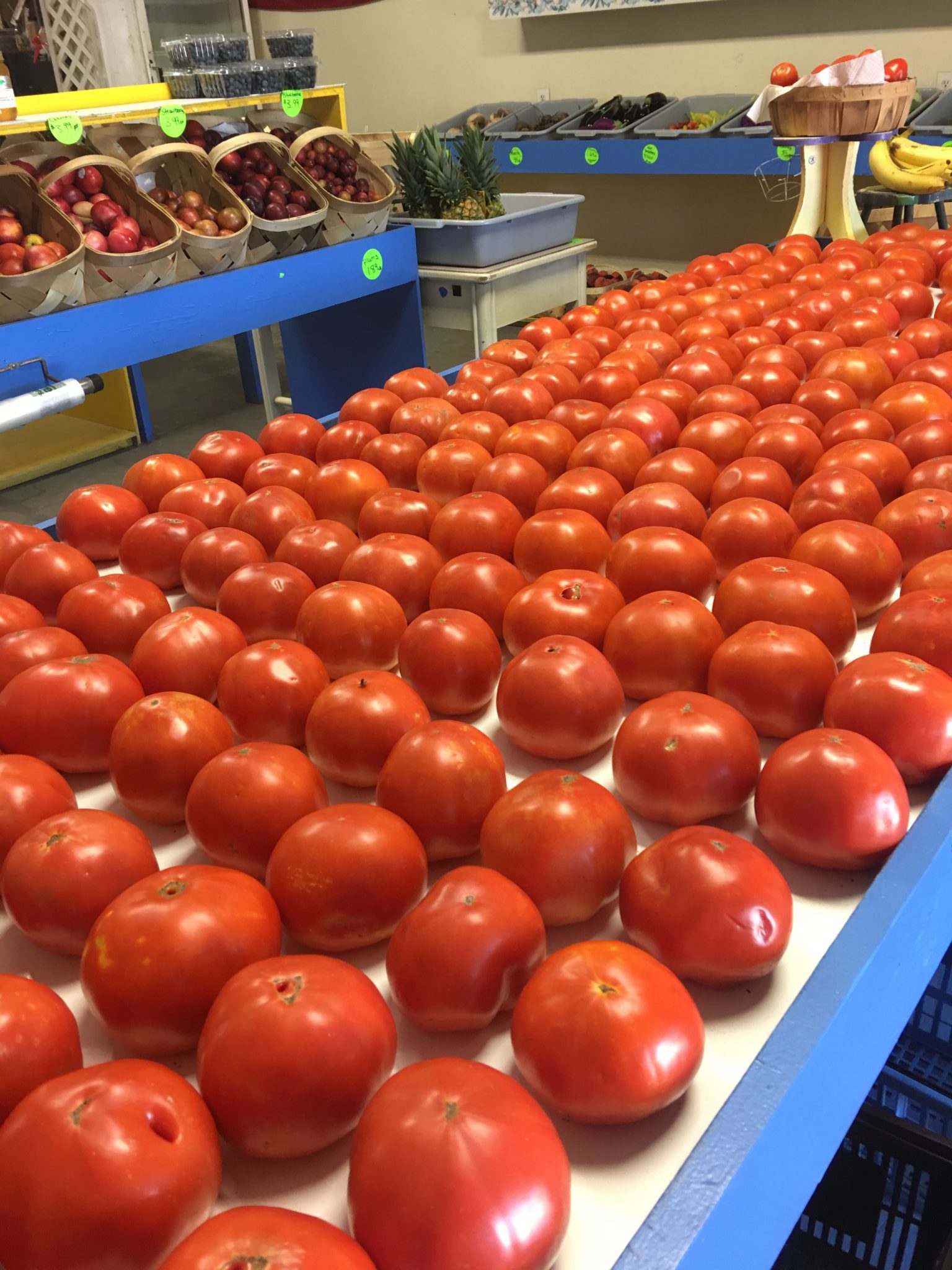 Red Tomatoes in a line