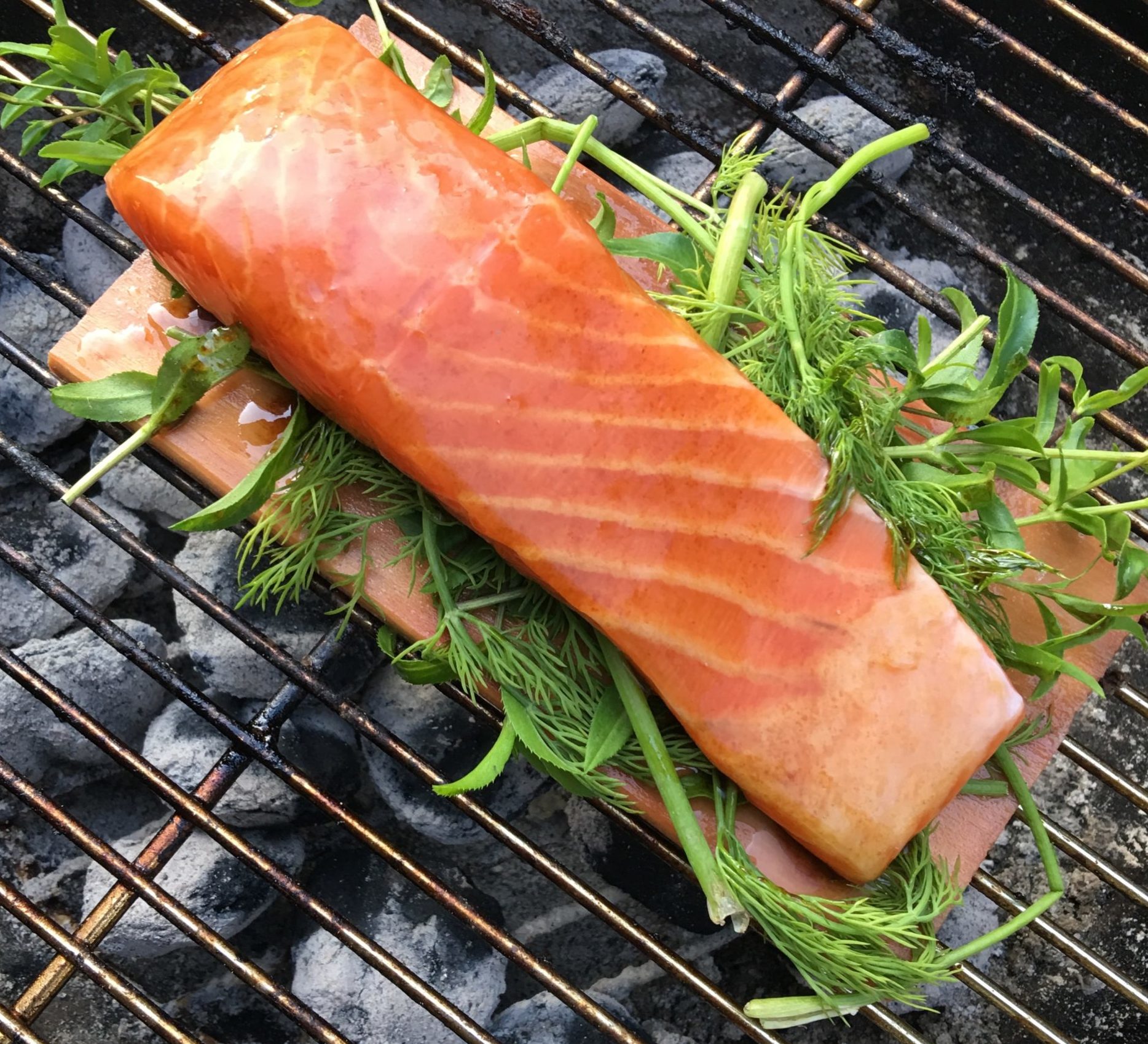 Salmon on a plank with herbs