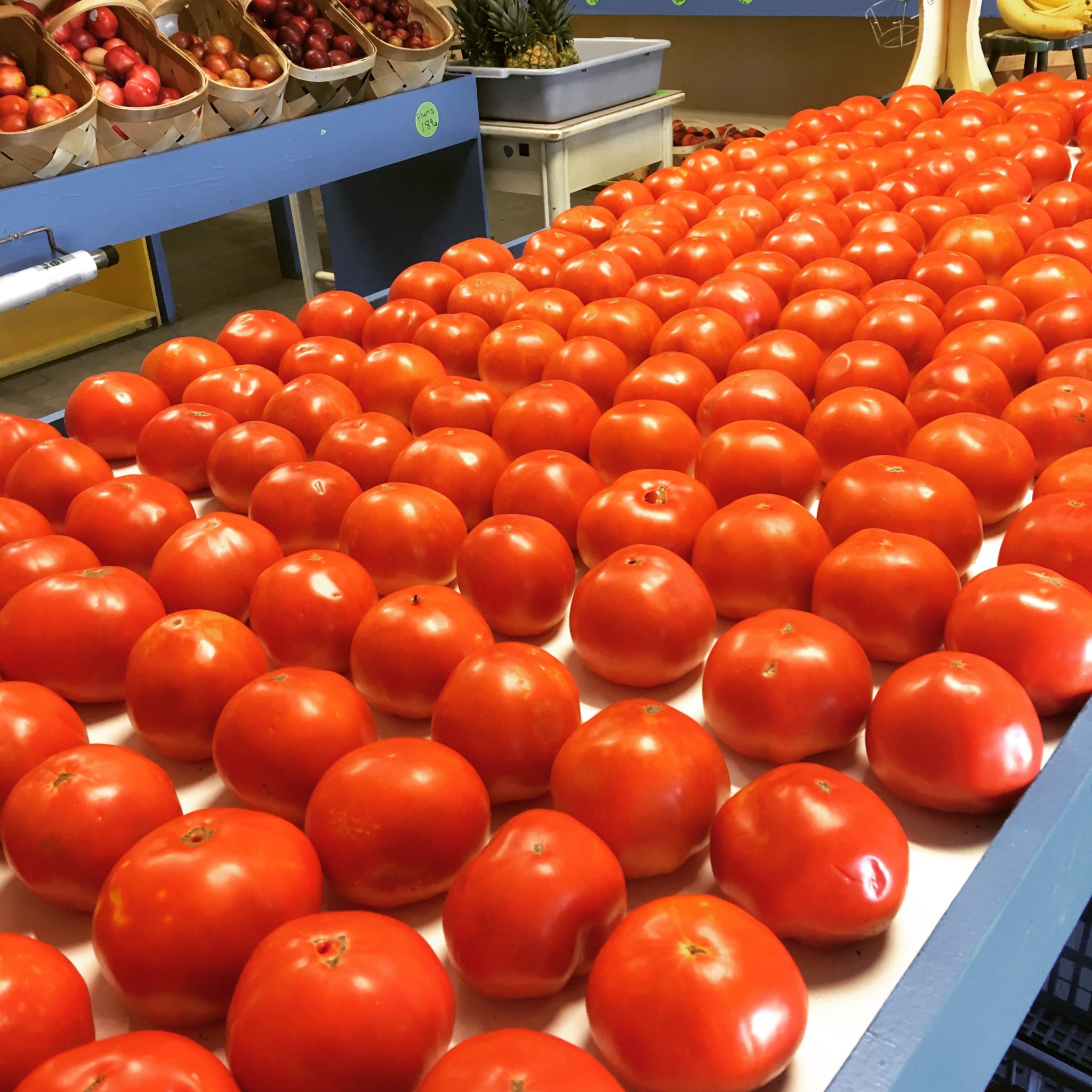 A long shelf of tomatoes at a vegetable stand