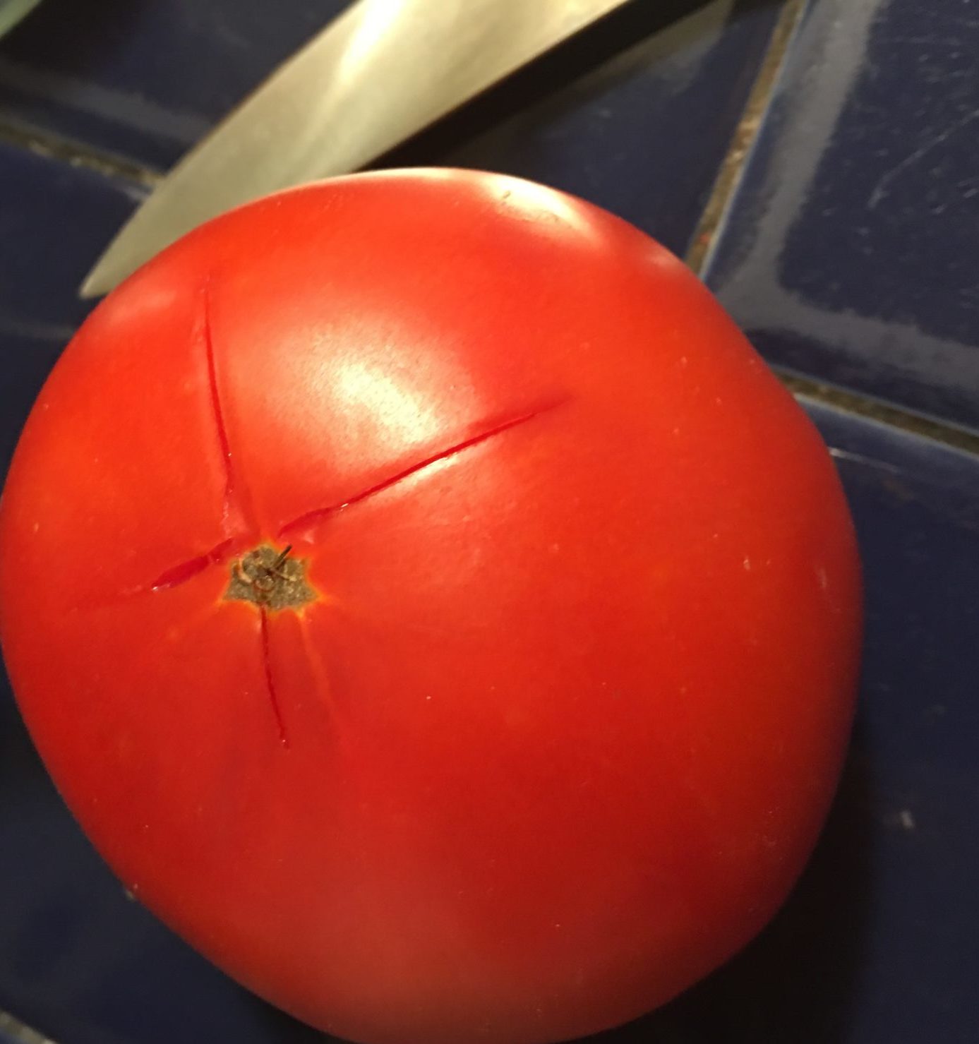 Tomato with cross cut in end