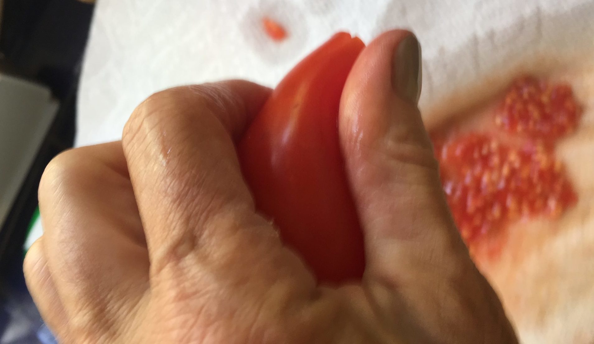 Seeding a tomato by hand