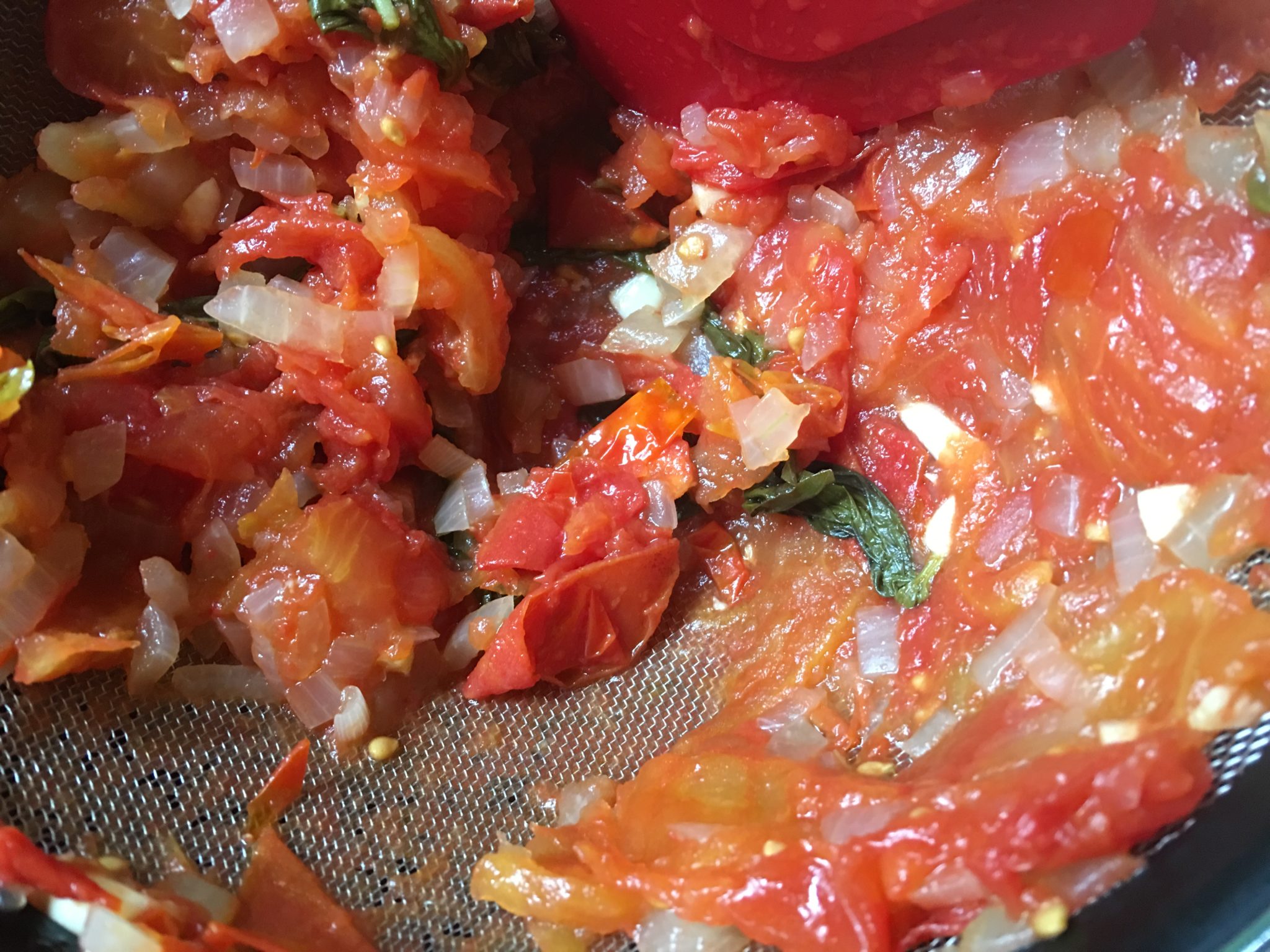 remains in sieve of pureed tomato sauce