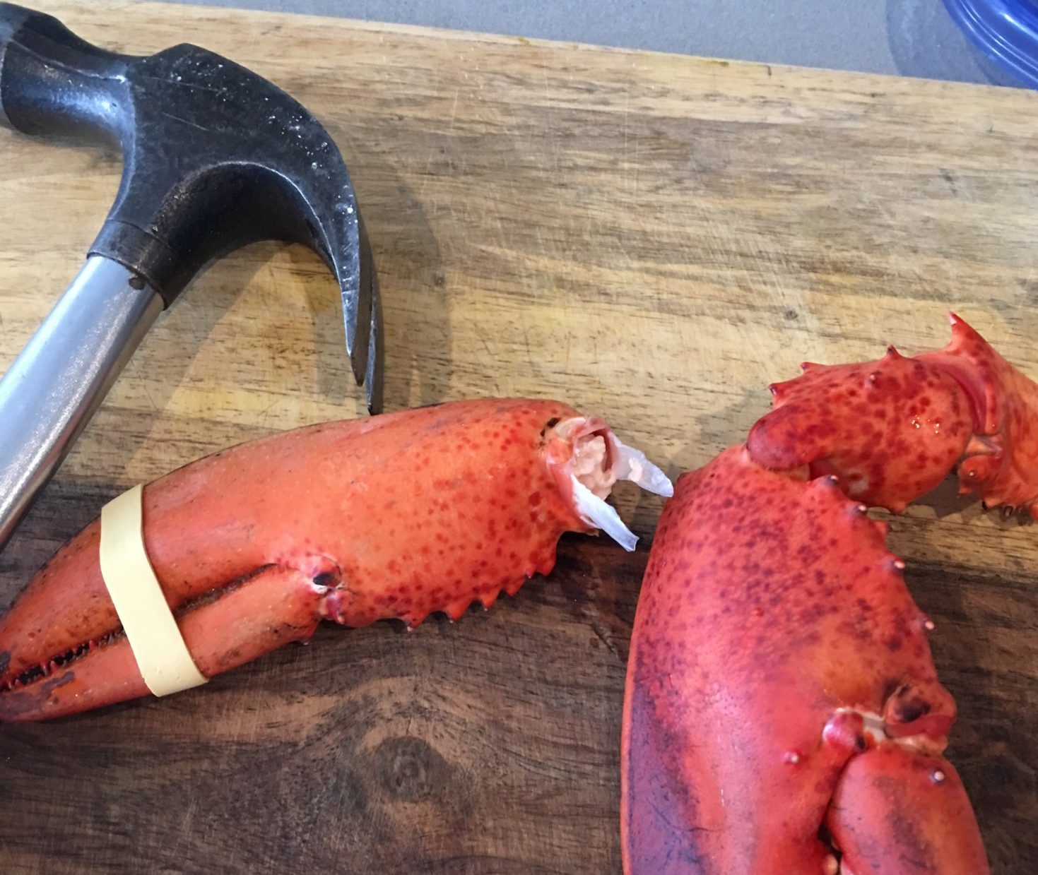 Hammer and lobster claws