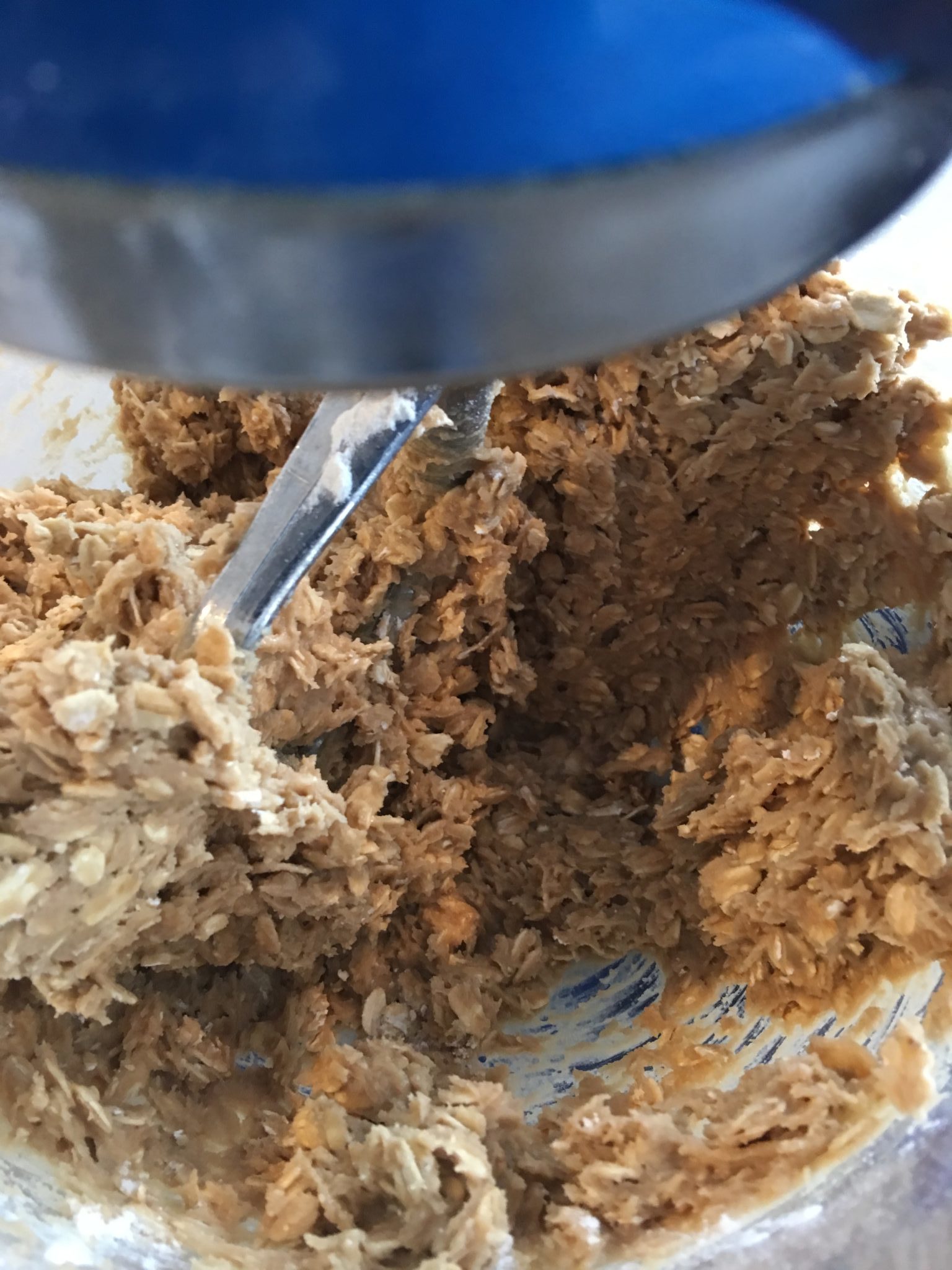Oatmeal cookie batter