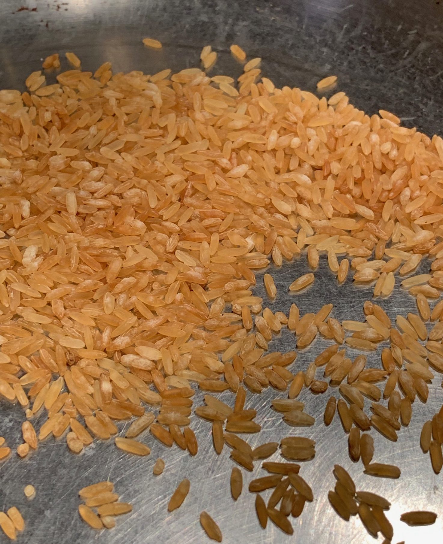 Golden brown toasted rice