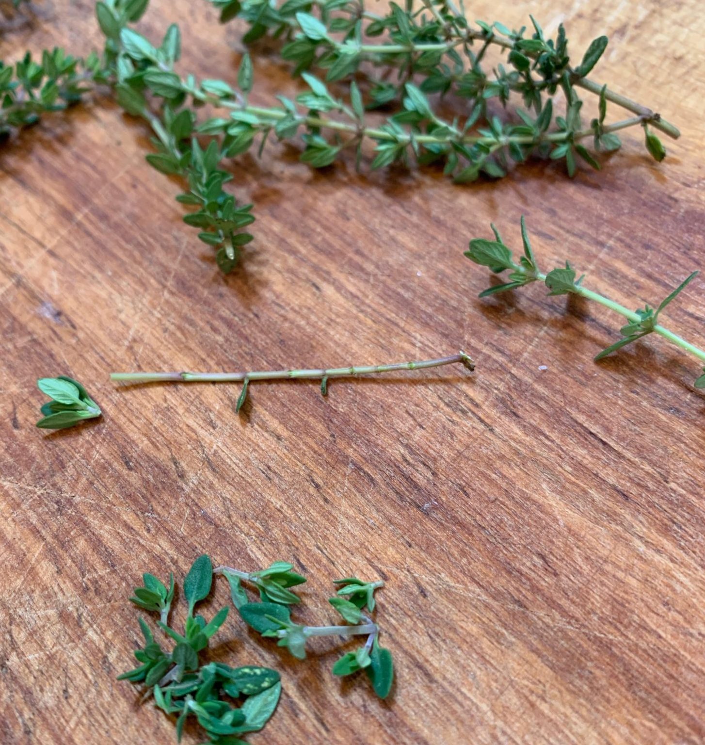 Thyme leaves, stem and top