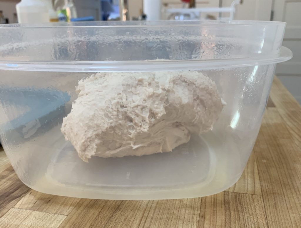 Ciabaata dough is best risen in a square plastic container