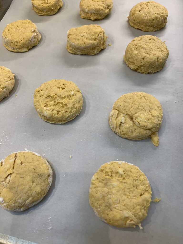 Biscuits cut and ready to bake