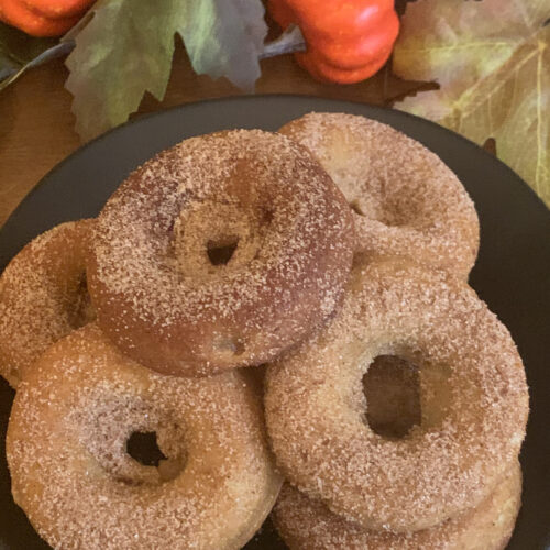 Cinnamon Sugar Mini Donuts Recipe - Pinch of Yum