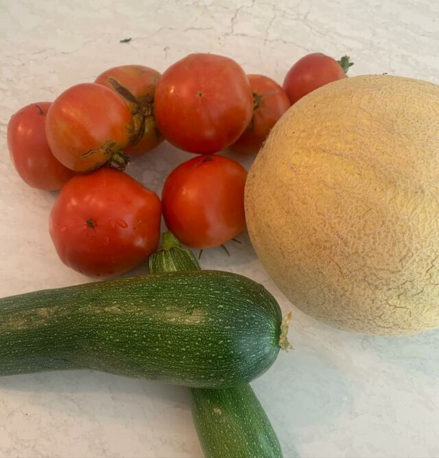 So proud!  I’ve never had much success with zucchini but they are still going strong. My tomatoes just won’t quit although the rain is making them split😖. And this is my first ripe cantaloupe!  I have six more ripening. Okra is still to come! #kitchengarden #urbangardener #awomancooks 
.
.
.
.
#growwhatyoueat #homegardener #raisedbeds #gardensuccess #firstmelon #ashevillefoodie