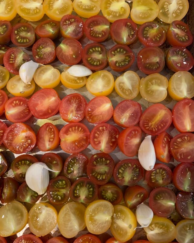 Yesterday I was in the market and I bought a tray of multicolored cherry tomatoes. A woman stopped me and asked me what they were and what I did with them.  This! I told her, This is what you do with them!  You eat them all summer long and at the ends of summer you slow roast them and keep the party going!  Then I moved on, wondering about a world where you didn’t know what to do with a tomato.  Set the oven at 225 degrees 
Cut the tomatoes in half and set them on a tray. 
Add some garlic or herbs if you like and drizzle with olive oil 
Roast them until they are chewy with a little juice left in them. Mine took four hours 
#slowroastedtomatoes #ovenroastedtomatoes #awomancooks 
.
.
.
.
#summersbounty #freshtomatoes #urdangardener #growwhatyoureat #tomatoestomatoestomatoes #ashevillefoodie