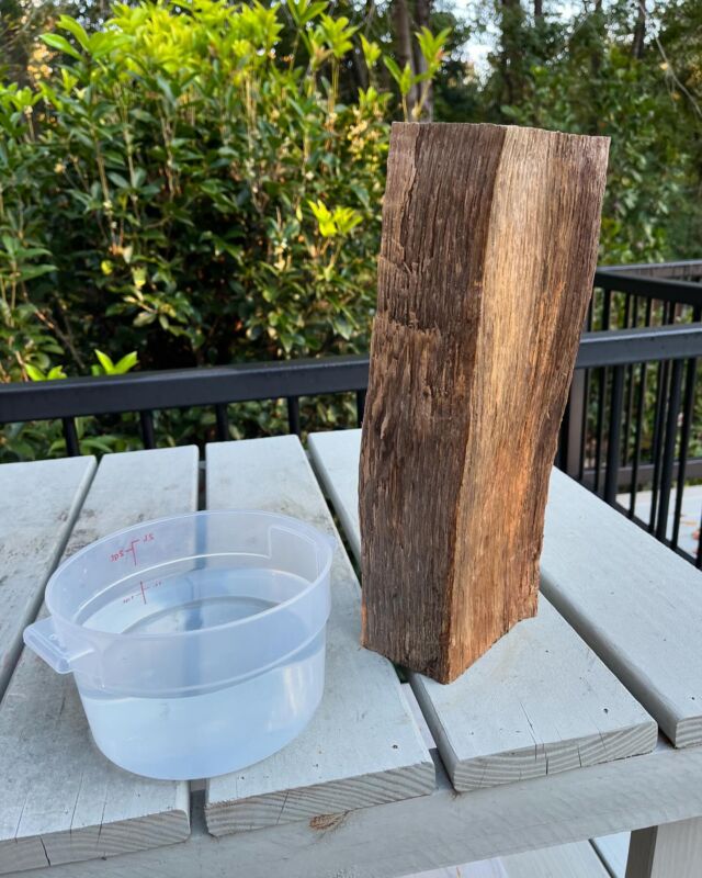 Last January we chopped up a tree which came down in a storm. Those logs were HEAVY and hard to split. So we decided to weigh one and see how much of the weight was water. This log started out at 9.2lbs. Seven month later it weighs 6 lbs!  This is how much water it has lost. #simplescience #waterweight #awomancooks  #woodburningfireplace