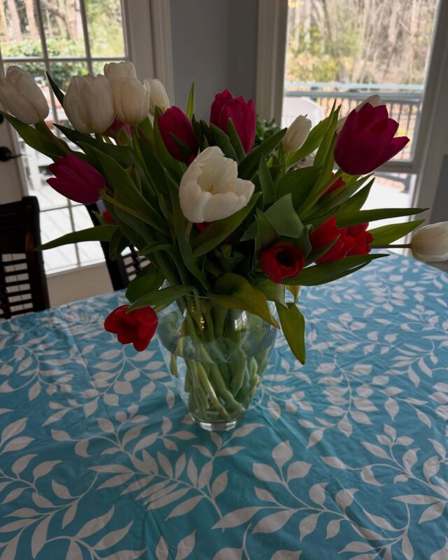 Aren’t these beautiful??? I would thank you if I knew who sent them!!!!
#anonymousflowers #tulipseason #awomancooks