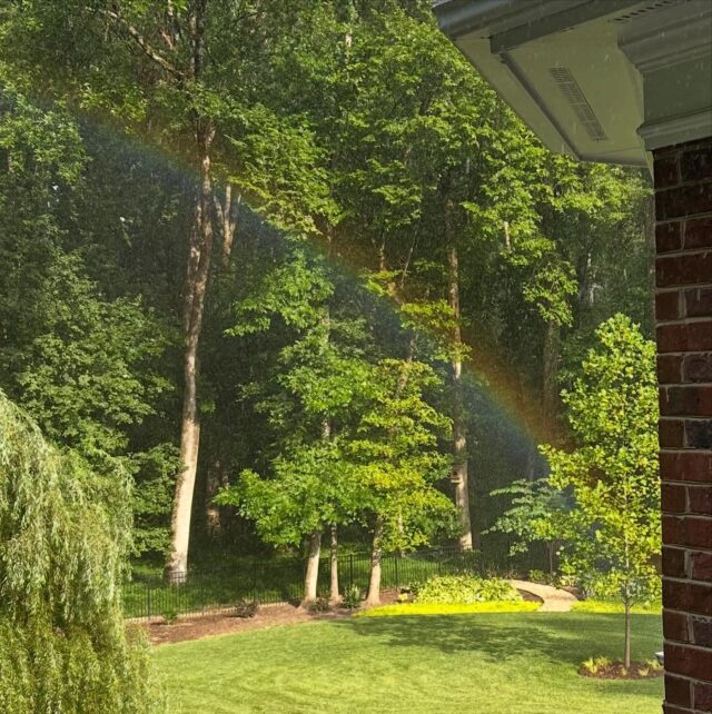 When the end of the rainbow is in your garden, dreams really do come true??? #summershowers #sunshower #endoftherainbow #feelinglucky #awomancooks